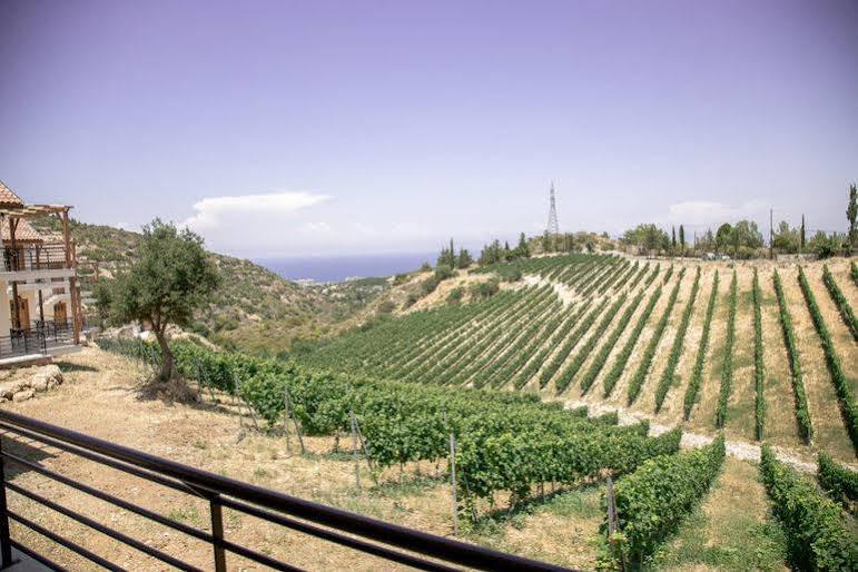 Templos Gillham Vineyard Hotel المظهر الخارجي الصورة