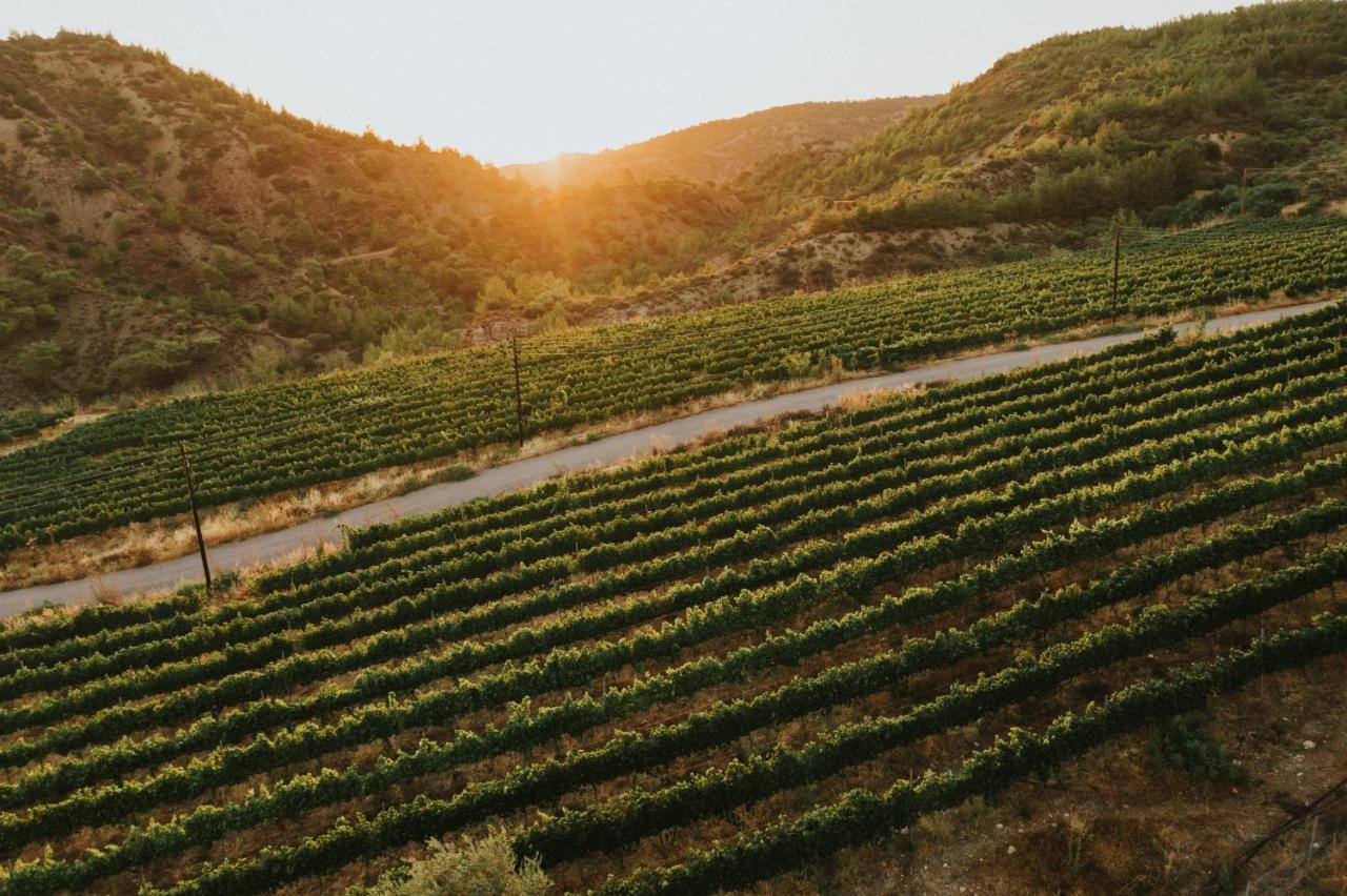 Templos Gillham Vineyard Hotel المظهر الخارجي الصورة