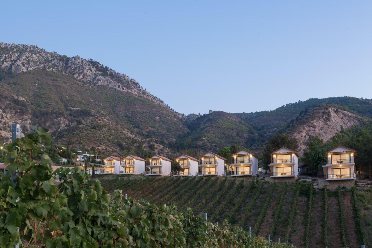 Templos Gillham Vineyard Hotel المظهر الخارجي الصورة