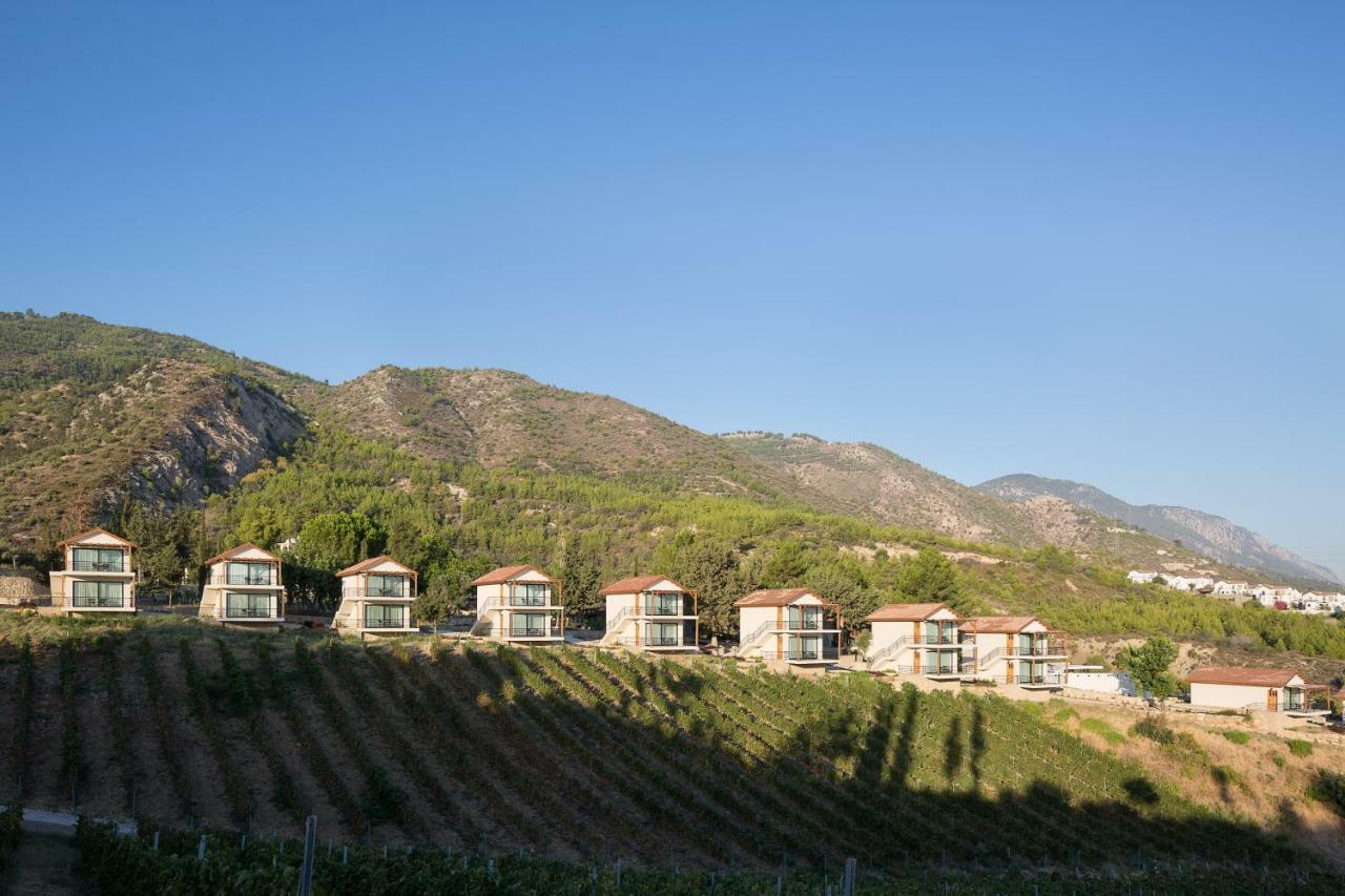 Templos Gillham Vineyard Hotel المظهر الخارجي الصورة