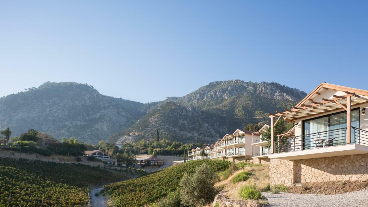 Templos Gillham Vineyard Hotel المظهر الخارجي الصورة