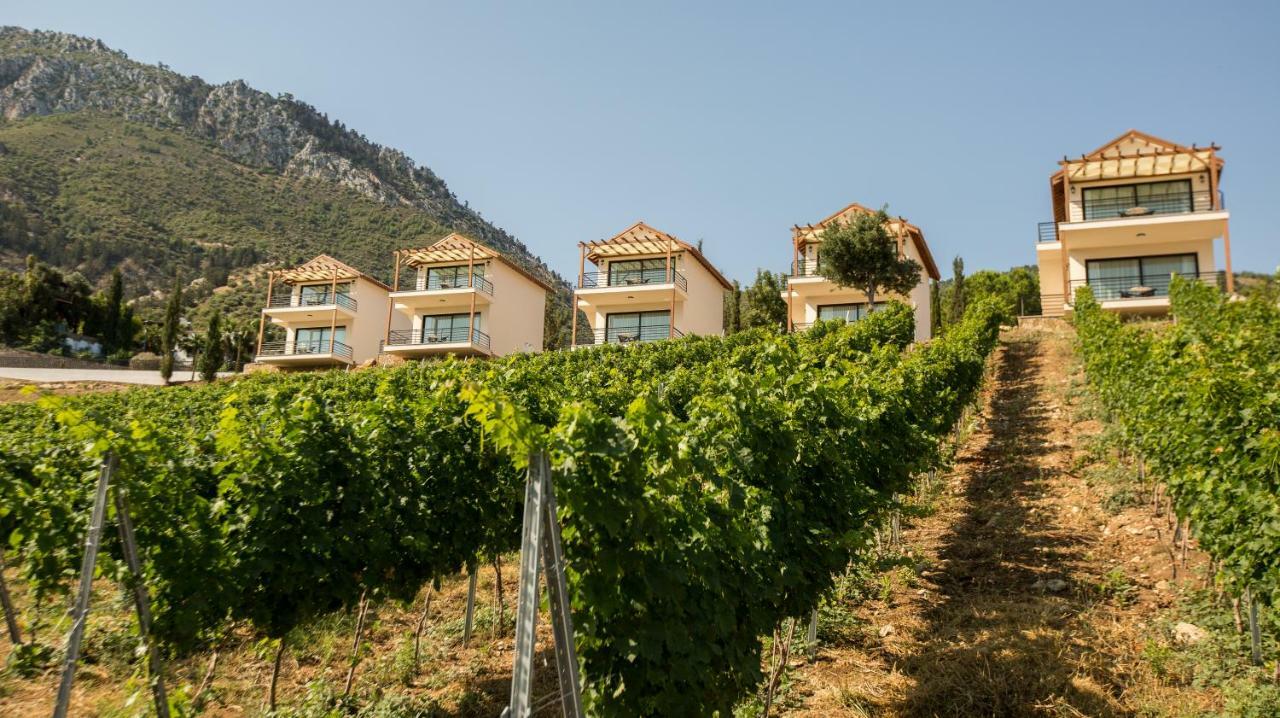 Templos Gillham Vineyard Hotel المظهر الخارجي الصورة