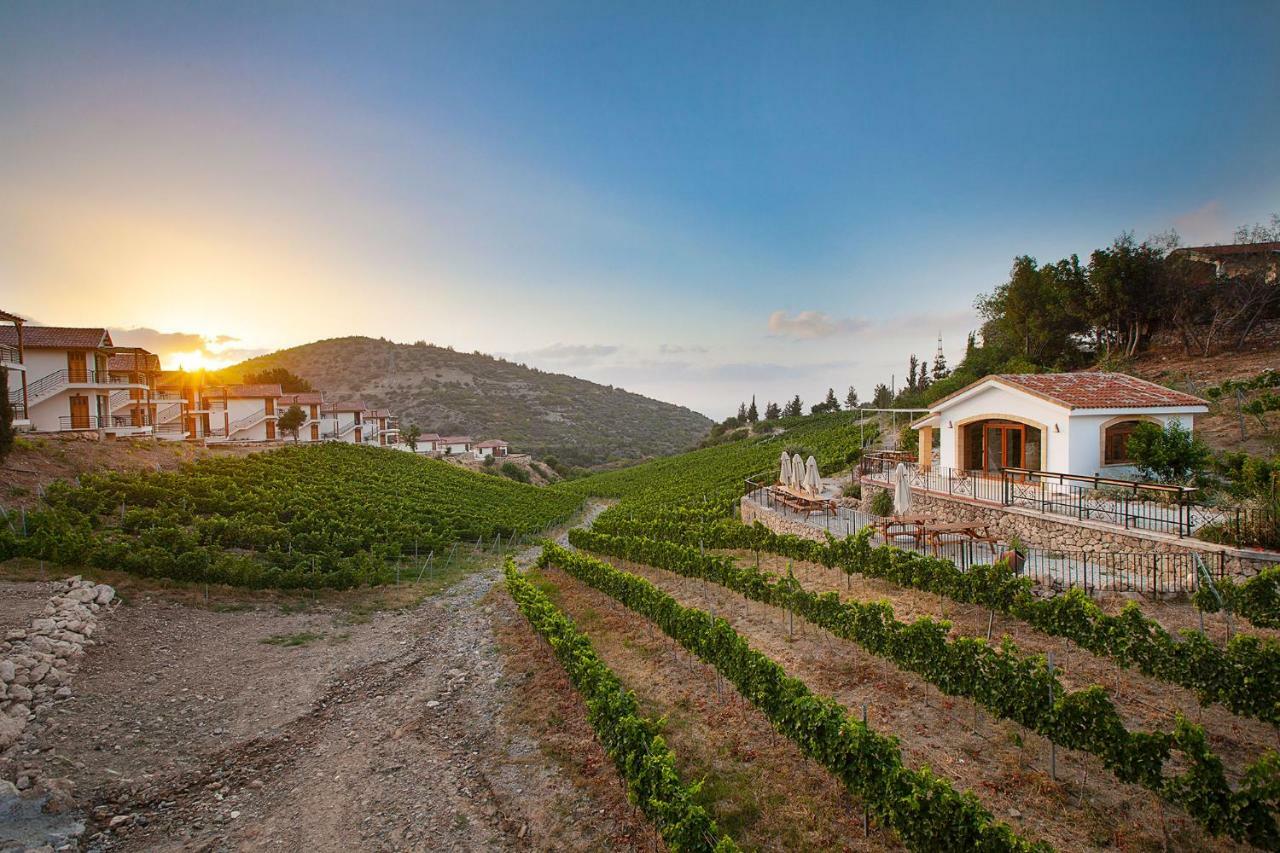 Templos Gillham Vineyard Hotel المظهر الخارجي الصورة